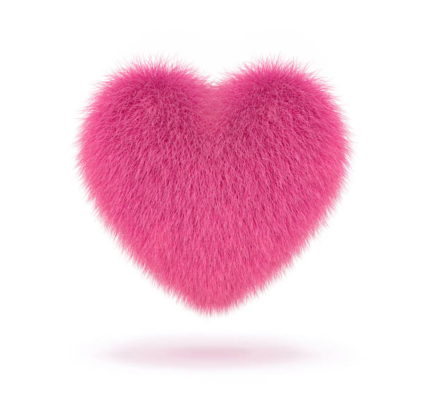 Pink fluffy heart isolated on white Pink fluffy heart isolated on white background. 3D rendering heart shape valentines day fur pink stock pictures, royalty-free photos & images