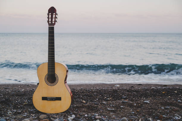 istock Classic guitar on the beach 1184319668