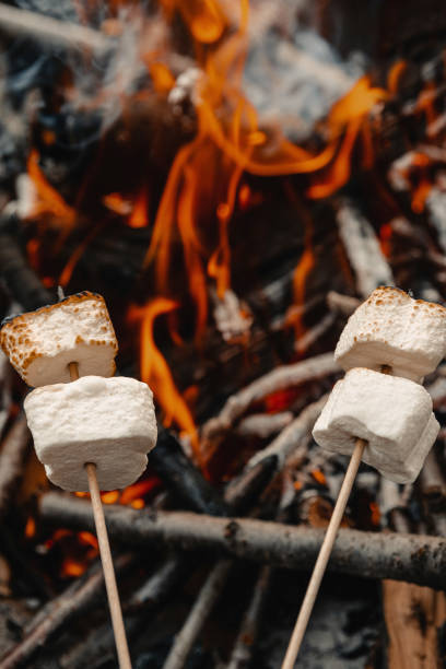 istock Marshmallow on a stick fried at a stake 1184319711