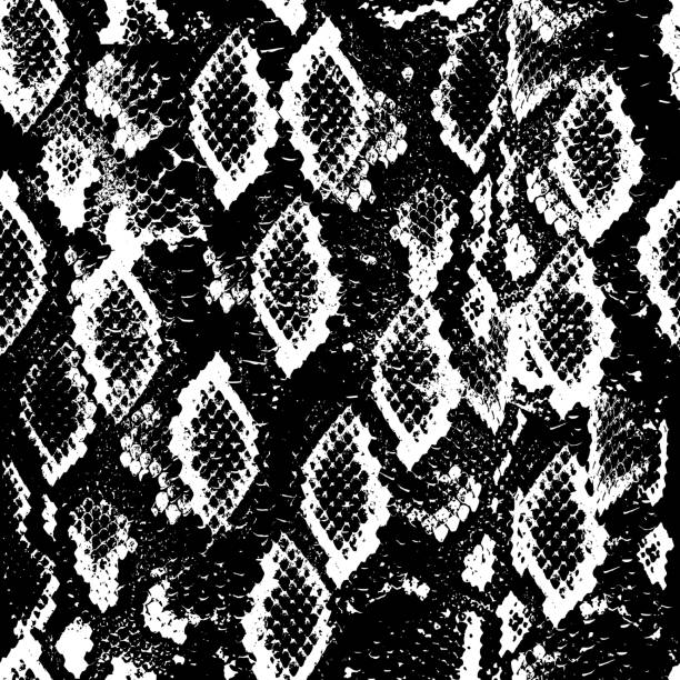 istock Snake skin scales texture. Seamless pattern black white background. simple ornament, fashion print and trend of the season Can be used for Gift wrap, fabrics, wallpapers. Vector 1184322540