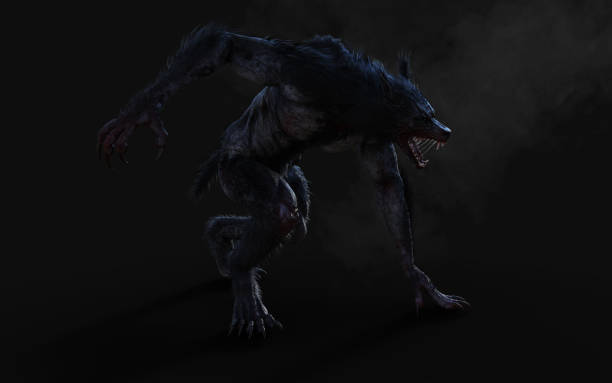 A werewolf on dark background stock photo