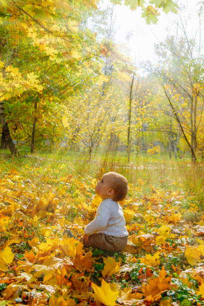 golden autumn is here. little boy playing with leaves at autumn park. - ticket ticket stub park fun imagens e fotografias de stock