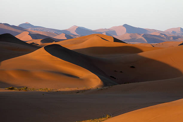 고비 사막의 - gobi desert 뉴스 사진 이미지