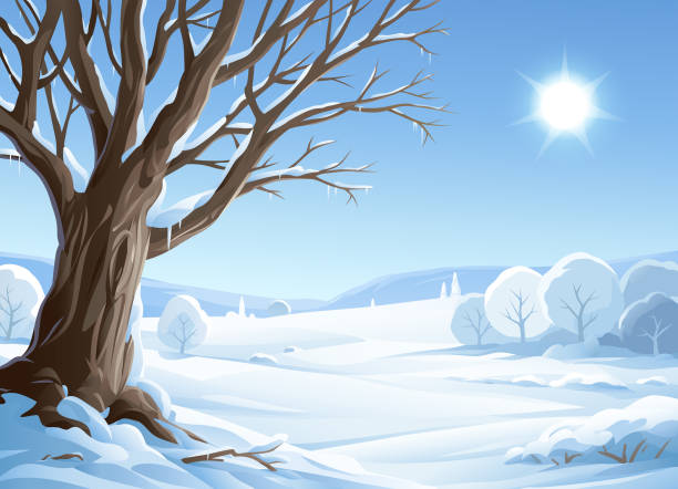 illustrazioni stock, clip art, cartoni animati e icone di tendenza di albero nel soleggiato paesaggio invernale - sunny day mountain mountain range winter