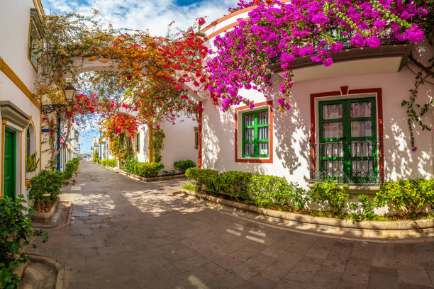 straat met bloemen in puerto de mogan - canarische eilanden stockfoto's en -beelden