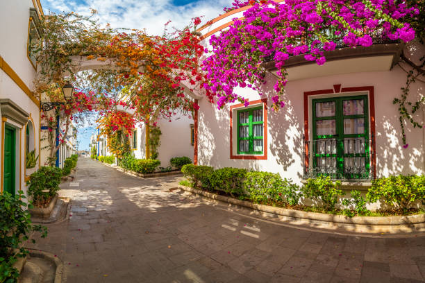 Street with flowers in Puerto de Mogan Street with flowers in Puerto de Mogan, Gran Canaria island, Spain grand canary stock pictures, royalty-free photos & images