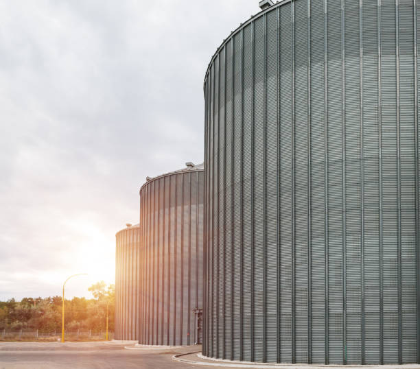 istock granary, storage of rye wheat and other crops 1184328650