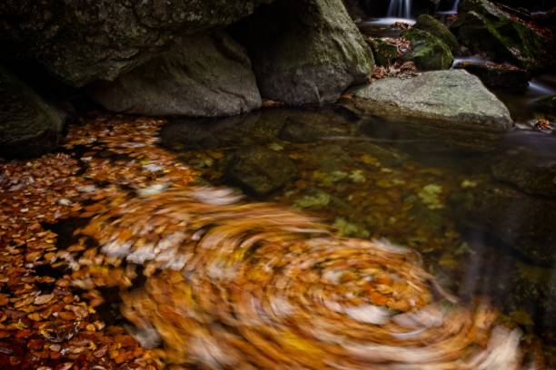 istock Waterfalls on the creek 1184330029
