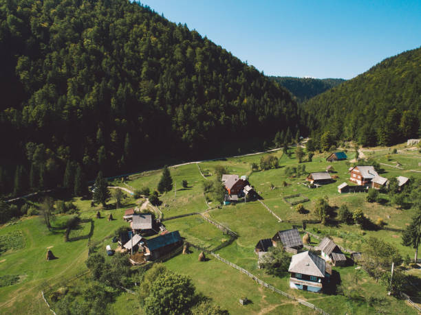 istock High Angle View Of Trees And Houses On Field 1184334092