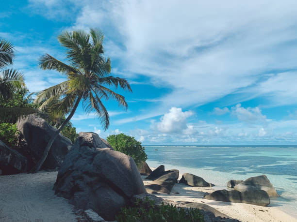 istock Scenic View Of Sea Against Sky 1184334117