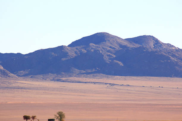 istock Harsh conditions of the hot savanna 1184337685