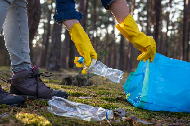 istock Keep our planet green and clean! Volunteer cleaning plastic garbage in nature. 1184342108
