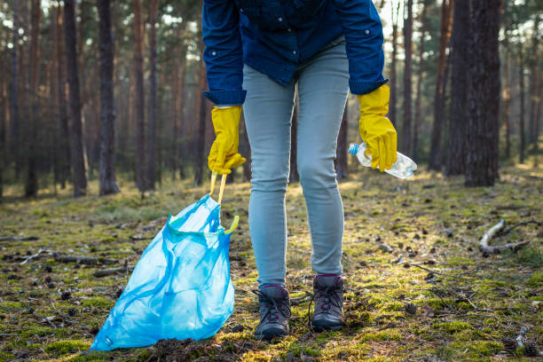 istock Volunteer is cleaning forest from plastic pollution. 1184342228