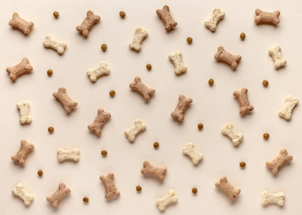 istock Dog food pattern made of dog forage 1184343277
