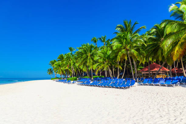 istock palm beach lounge chair 1184347759