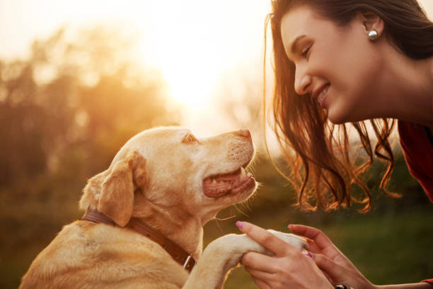 istock Young woman with her dog holding paws 1184348619