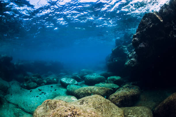 istock Tranquil underwater scene with copy space. Tropical transparent ocean with rock and stones 1184349729