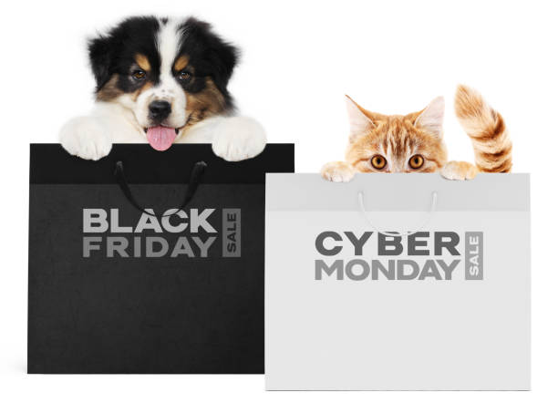 puppy dog and cat pets together showing  black and silver shopping bags with black friday and cyber monday text isolated on white background blank template and copy space puppy dog and cat pets together showing  black and silver shopping bags with black friday and cyber monday text isolated on white background blank template and copy space black friday sale banner stock pictures, royalty-free photos & images