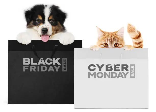 Photo of puppy dog and cat pets together showing  black and silver shopping bags with black friday and cyber monday text isolated on white background blank template and copy space