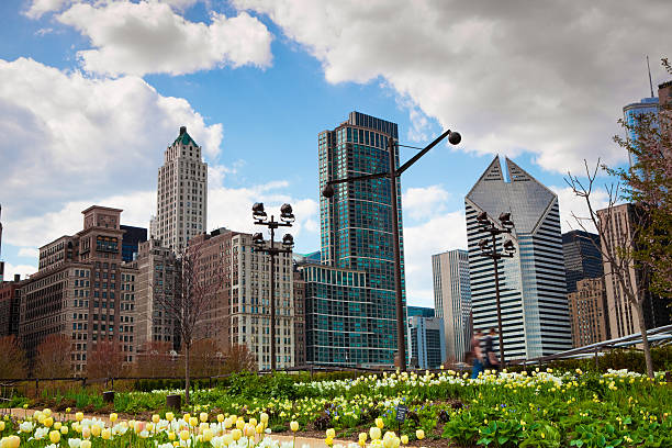 w chicago millennium park - grounds city life park grant park zdjęcia i obrazy z banku zdjęć