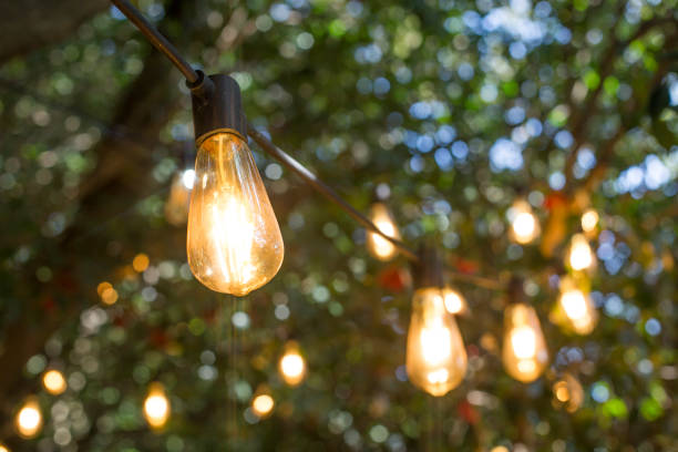 istock incandescent light bulb hanging In a garden. 1184351658
