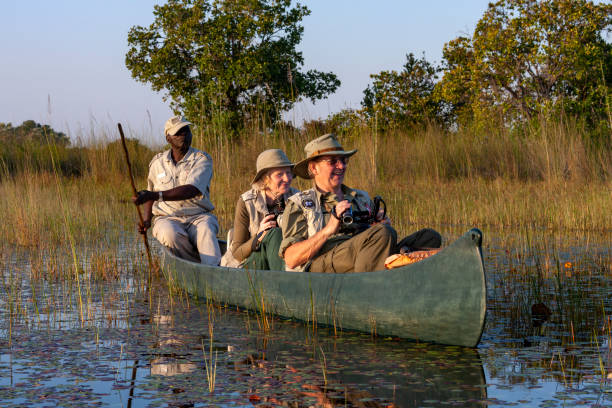 guia do safari com turistas em um makoro - delta de okavango - botswana - makoro - fotografias e filmes do acervo