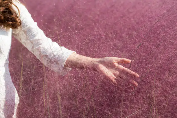 Beautiful young woman in white dress in Pink Muhly Grass field.