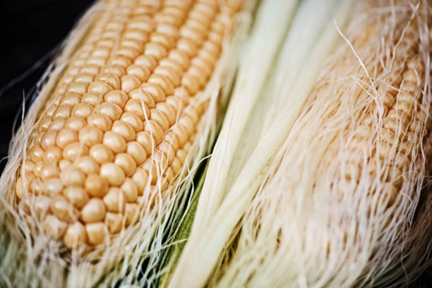 istock Close-Up Of Fresh Golden Corn On The Cob 1184354227