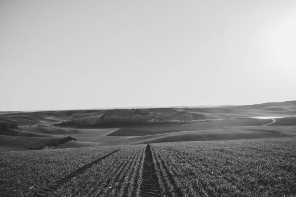 istock Moravian Tuscany, South Moravia, Czech Republic 1184355232