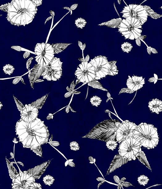 ilustraciones, imágenes clip art, dibujos animados e iconos de stock de flor silvestre margarita blanca sobre azul oscuro - patrón sin costuras de la naturaleza. - amaia