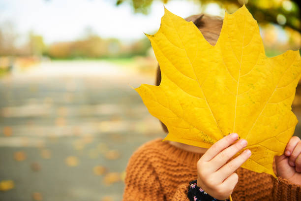 Child holding a big, autumnal leafs