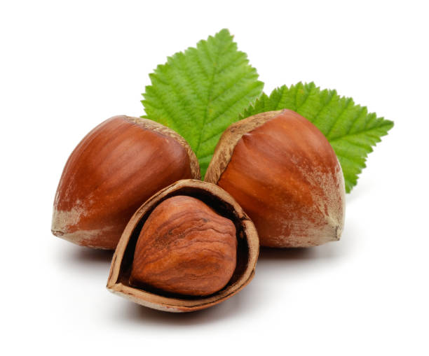 istock Group of hazelnuts with green leaves isolated 1184360011