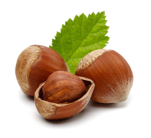 istock Group of hazelnuts with green leaf isolated 1184360851