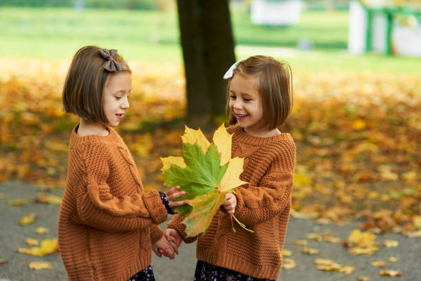 charming twins picking leafs on the fall season - twin falls imagens e fotografias de stock