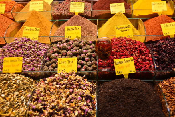 istock travel in Turkey 1184362370