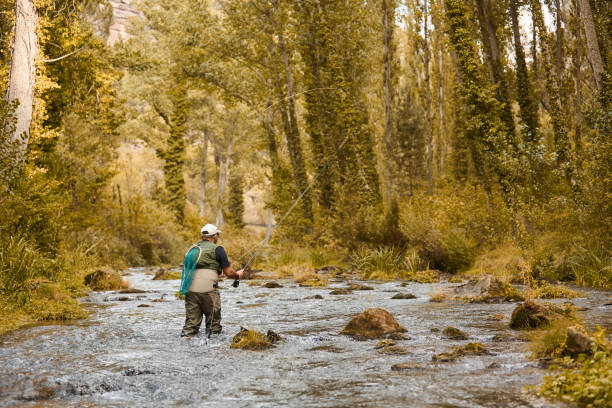 istock man fishing in the river 1184364309