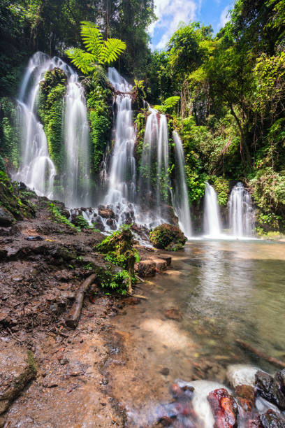 istock The Curtain of Waterfall 1184364779