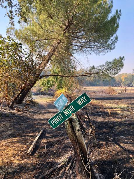 Kincade Fire in Sonoma County Wine Country stock photo