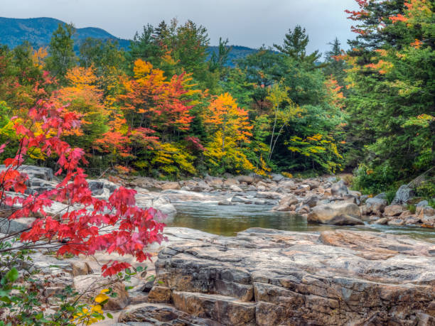 istock Along the Kancamagus Highway 1184366939
