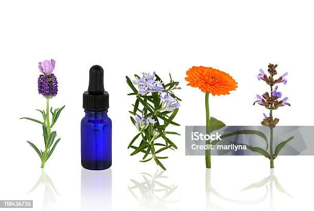 Herbal Therapy Stock Photo - Download Image Now - Cut Out, Lavender - Plant, Rosemary