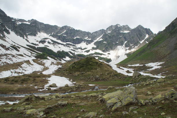 istock Spring in the mountains of Abkhazia 1184370168