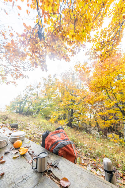 istock Orange Backpack and Camping Gear in Autumn Forest in Europe 1184370698