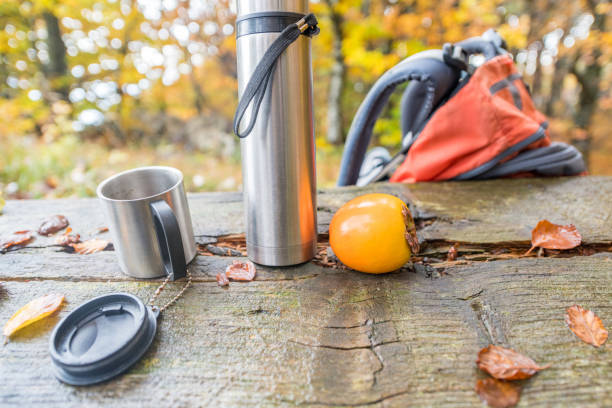 istock Orange Backpack and Camping Gear in Autumn Forest in Europe 1184370805