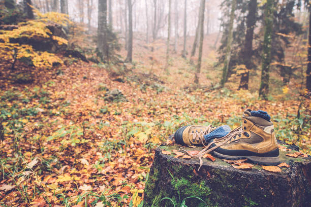istock Hiking Boots Resting on Tree Stump in Autumn Forest in Europe 1184370837