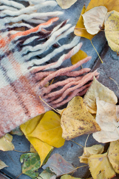 istock Woolen checkered plaid and yellow autumn leaves 1184371144