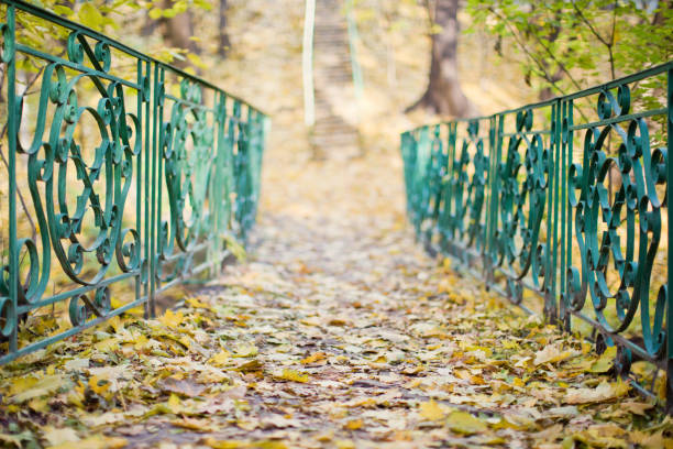 beautiful autumn park with yellow leaves