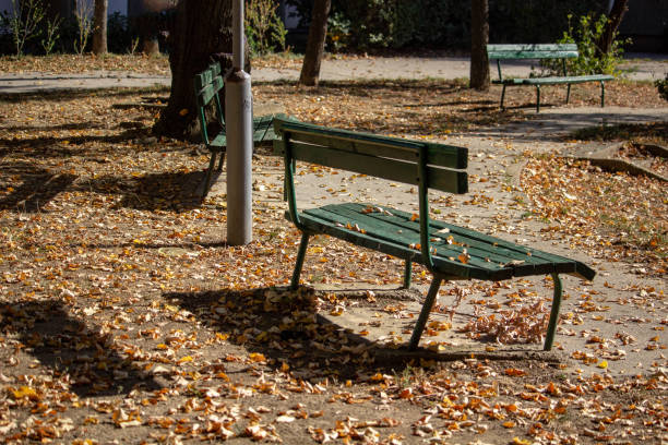 istock Autumn in city park 1184374816