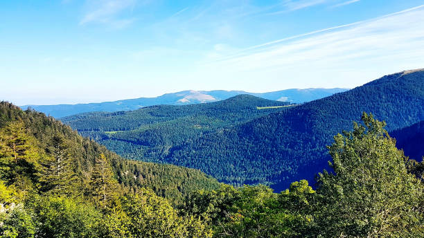 istock Panorama of Europe 1184375076