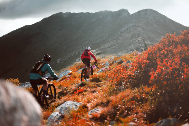 ciclismo de montaña - mountain biking extreme sports cycling bicycle fotografías e imágenes de stock