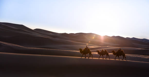 istock Nomadic couple walking with their bactrian camels. 1184375267